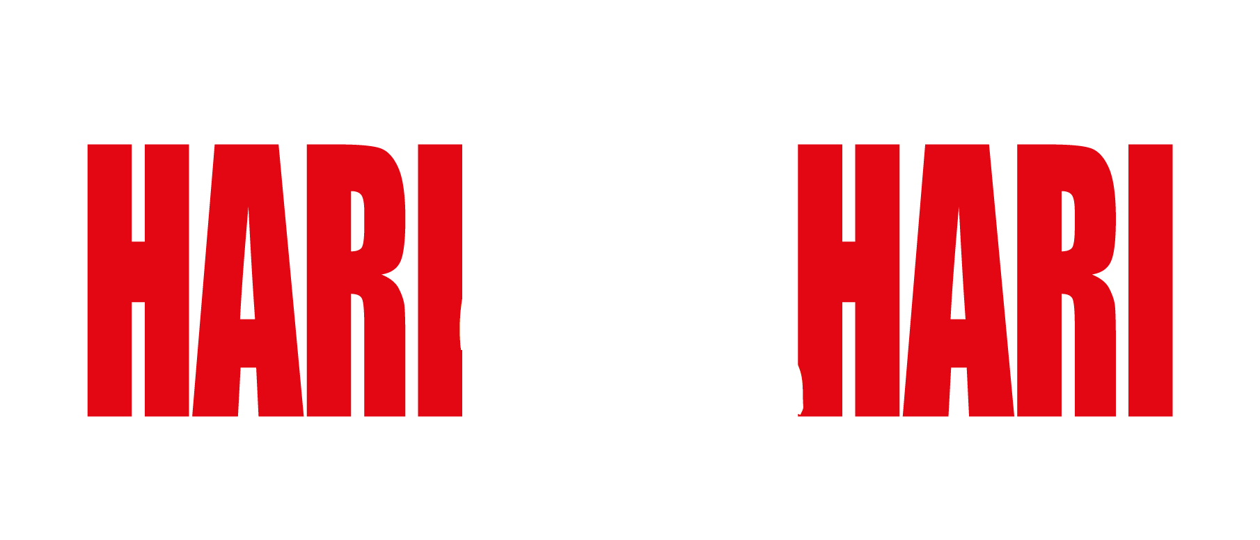 Hari Mata Hari logo